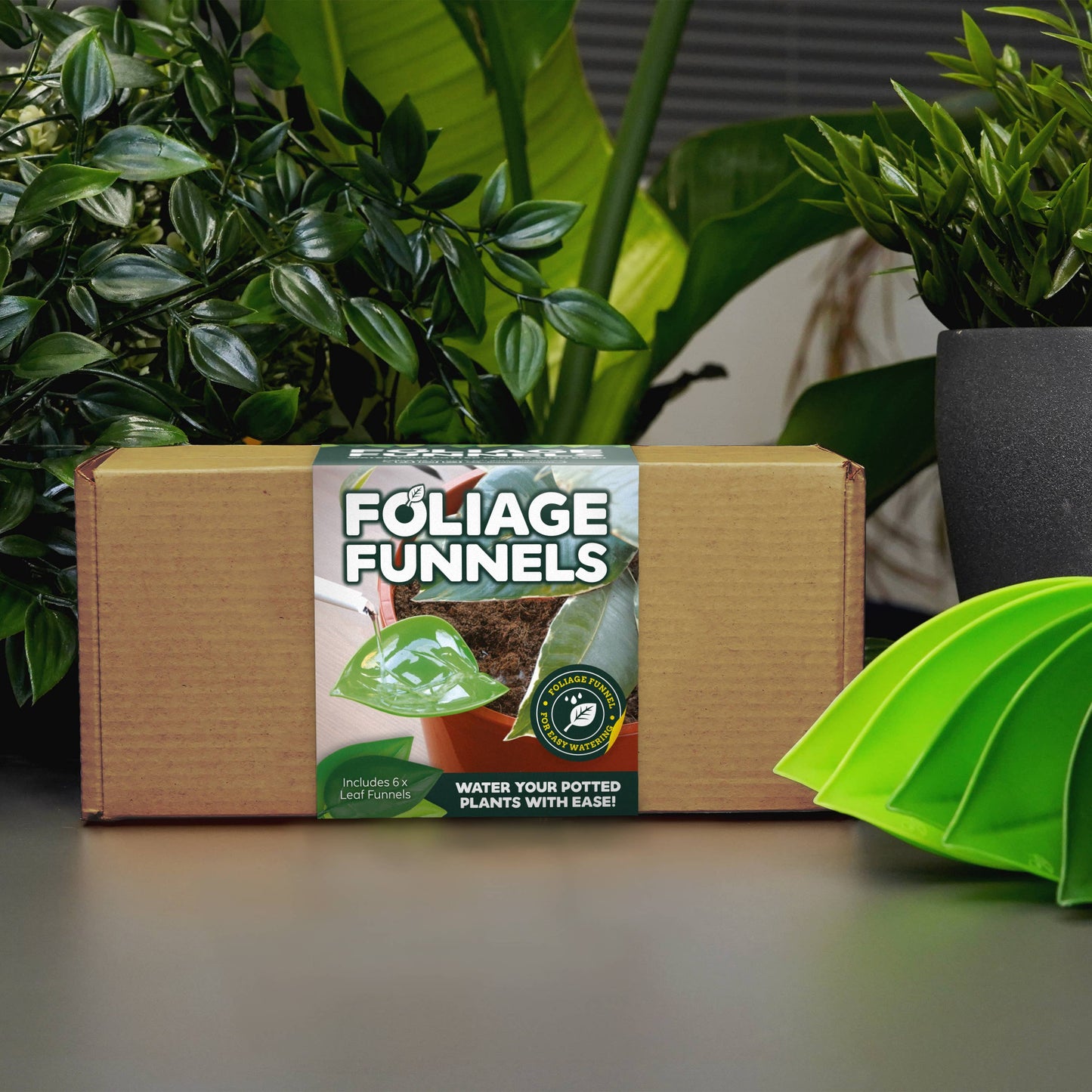 Foliage Funnel