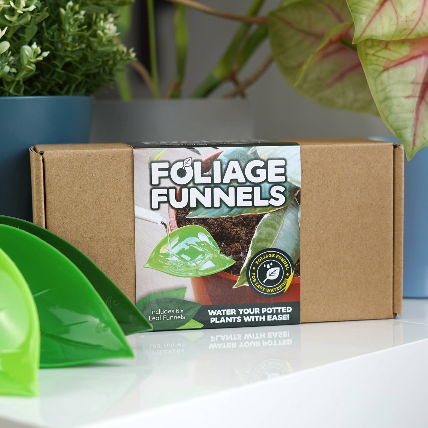 Foliage Funnel