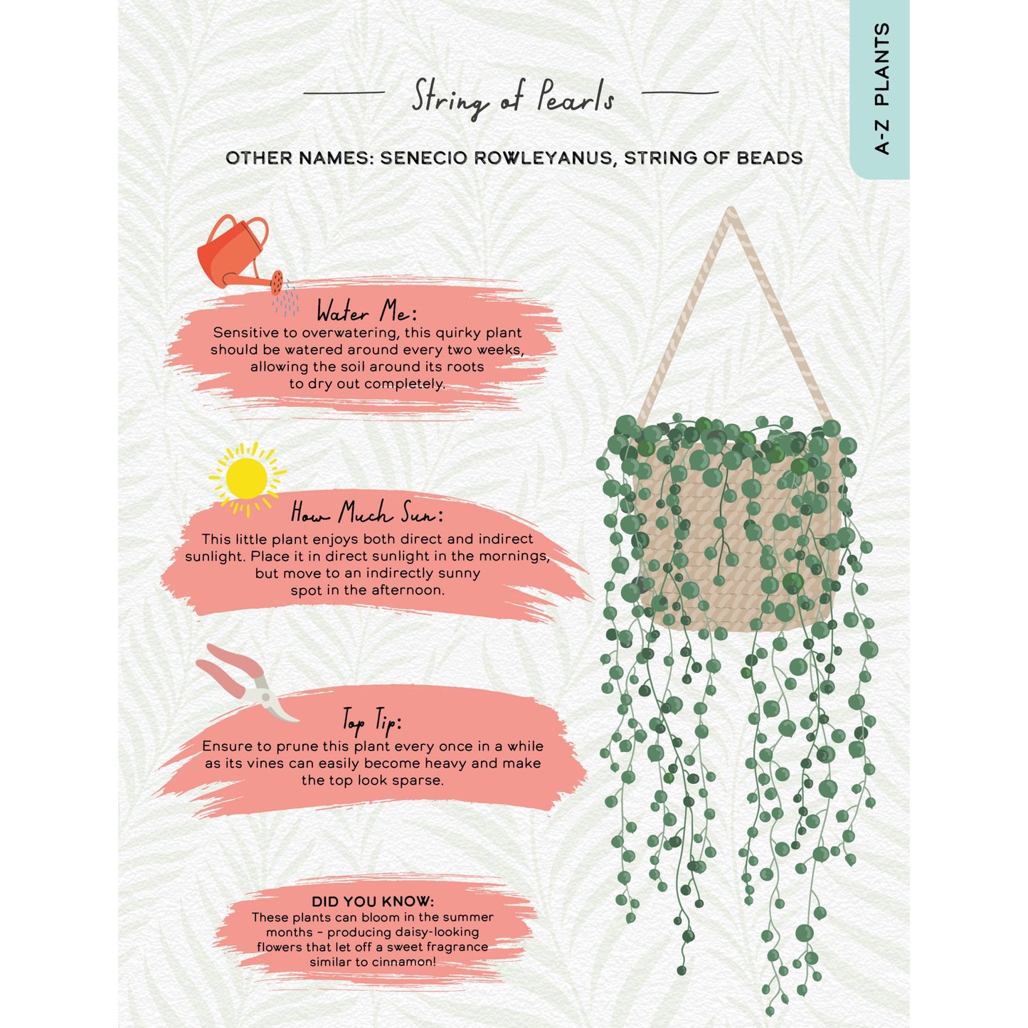 Please Don't Die - Houseplant Book