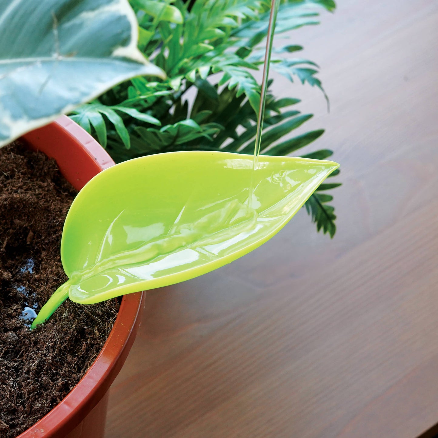Foliage Funnel
