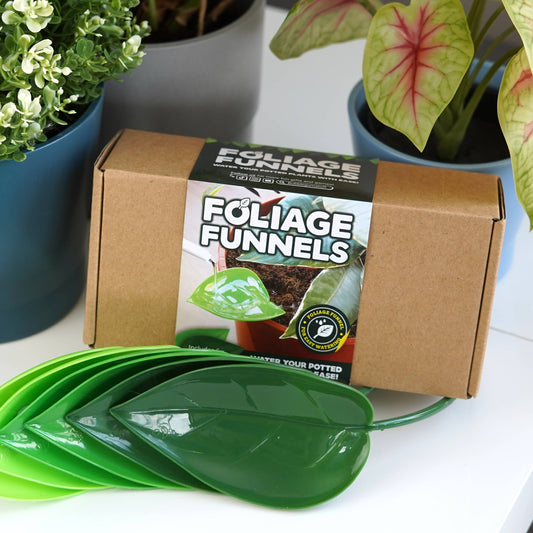 Foliage Funnel