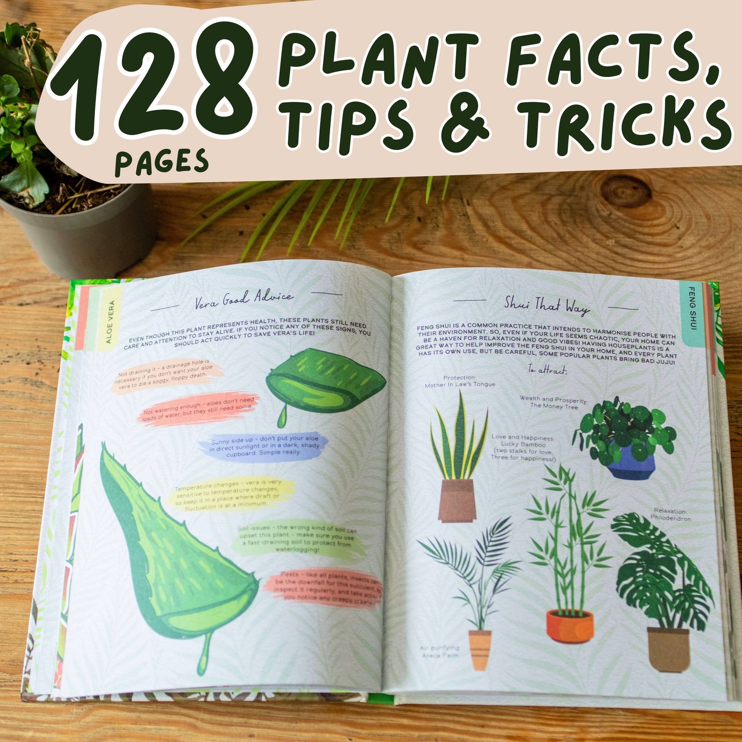 Please Don't Die - Houseplant Book