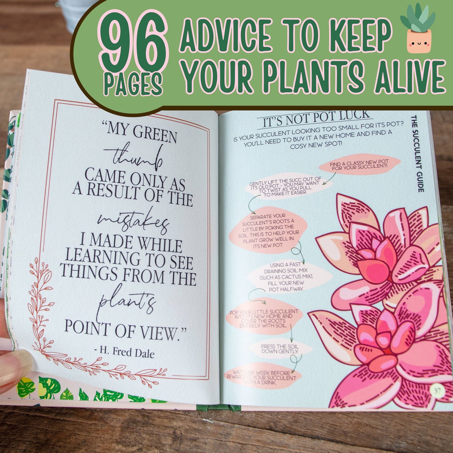 Houseplant Survival Guide Book