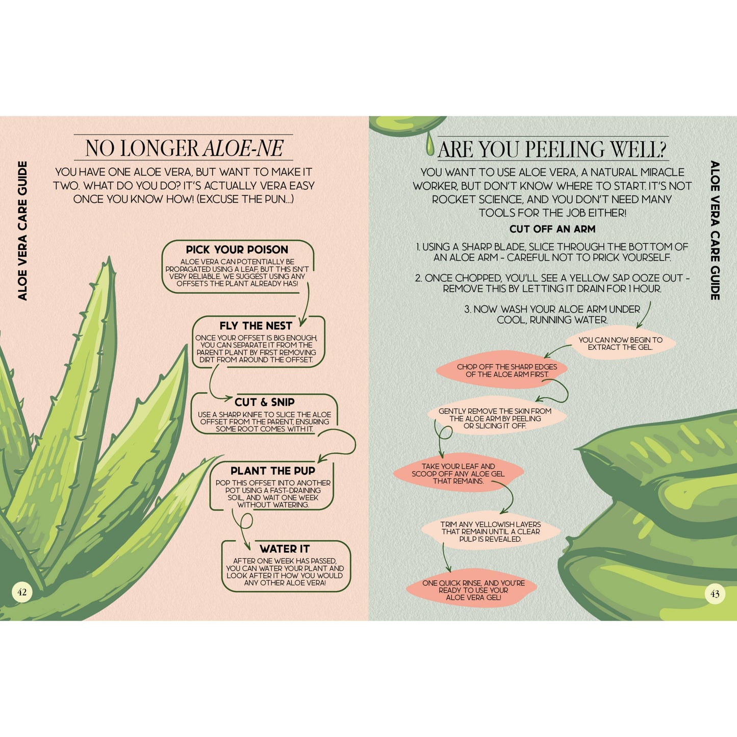 Houseplant Survival Guide Book